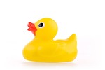 Which is a yellow duck?(英語5ヶ月目)
